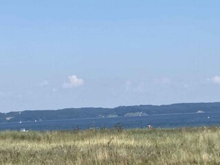 Ferienhaus Høll Außenaufnahme 7