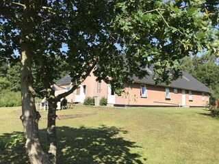 Ferienhaus Ørsted Außenaufnahme 4