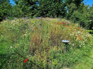 Ferienhaus Lumsås Außenaufnahme 3