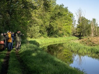 Apartment Meeuwen Environment 15