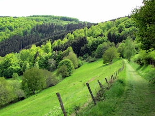 Chalet Erezée Umgebung 28