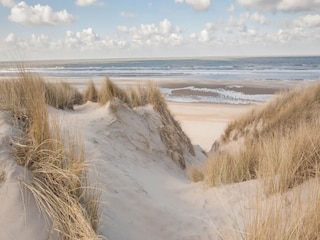 Chalet Bredene Environment 9