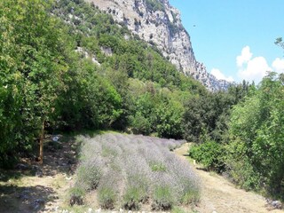 Holiday cottage Le Bar-sur-Loup Environment 13