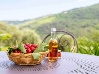 Cottage Le Bar-sur-Loup  23