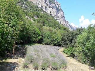 Holiday cottage Le Bar-sur-Loup Environment 17