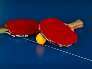 Ferienhaus Champagne-sur-Seine  35