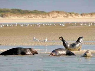 Vakantiepark Quend Omgeving 27