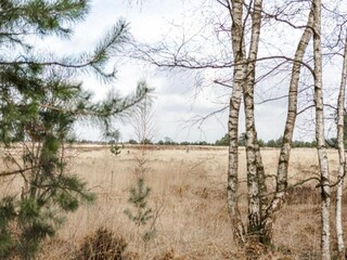 Parc de vacances Heeze-Leende Environnement 29