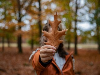 Parque de vacaciones Heeze-Leende  35