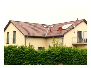 Sichtschutz durch Hecke