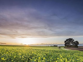 Vakantiehuis Tongeren Omgeving 15