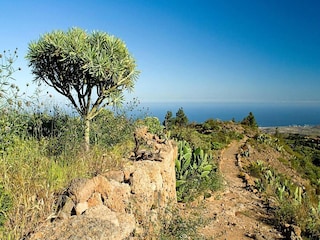 Holiday house San Isidro Environment 34