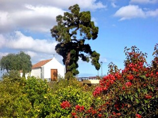 Holiday house San Isidro Environment 29