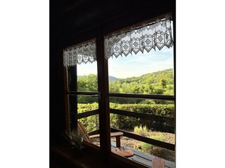 Blick vom Esstisch