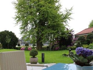 Blick von der Taerrasse