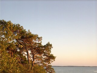 The cliffs of Loddin