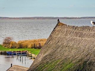 Lake view Loddin