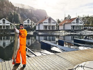 Casa per le vacanze Hjelmeland  24