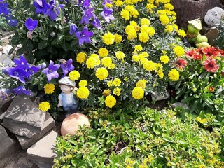 Appartamento per vacanze Leverkusen Ambiente 29