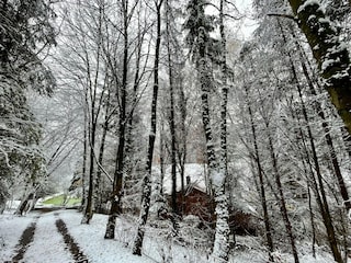 Cottage Saint-Hubert Umgebung 29