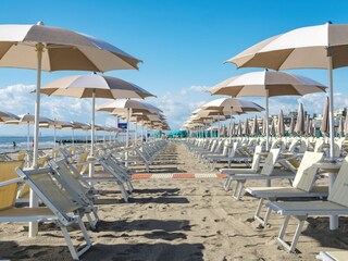 Rulot Cervia Entorno 10