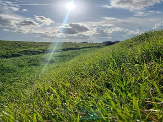 Type de propriété : Ferme Castiglion Fiorentino Environnement 24