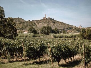 Type de propriété : Ferme Castiglion Fiorentino Environnement 27