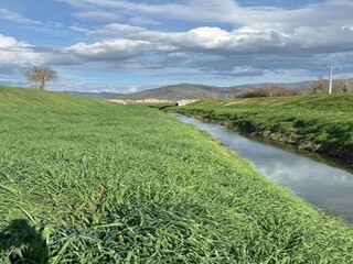 Type de propriété : Ferme Castiglion Fiorentino Environnement 28