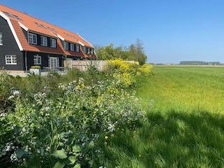Holiday house Oudeschild Outdoor Recording 2