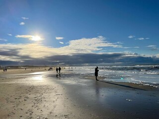 Casa per le vacanze Egmond aan den Hoef Ambiente 24