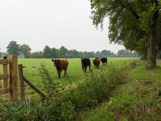 Holiday house Lichtenvoorde Environment 21