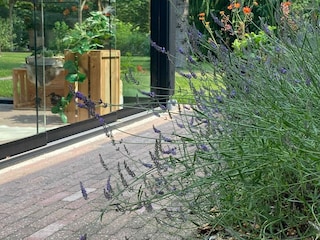Holiday house Wedde  53
