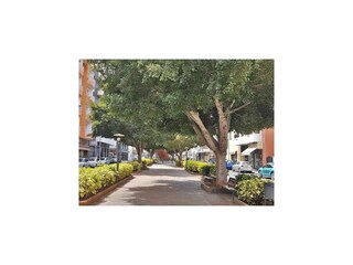 Parque de vacaciones Los Llanos de Aridane Entorno 38