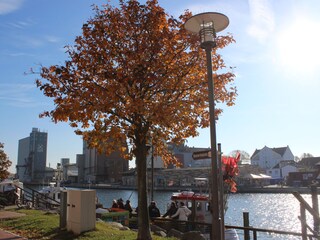 Bick in den Hafen