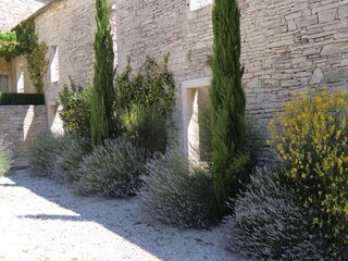 Lavender-lined stone terraces at Casa Ceppi