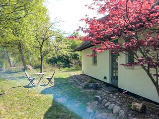 Ferienhaus Liseleje  21