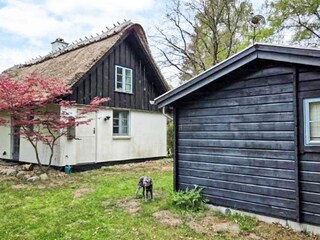 Ferienhaus Liseleje  22