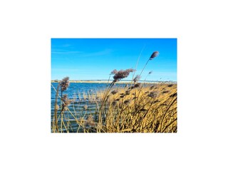 Barco casa Hohenkirchen im Wangerland  20