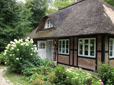 Ferienhaus Lütte Reetkate