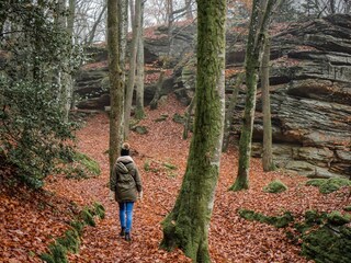 Wandern und Natur erleben rund um St. Blasien
