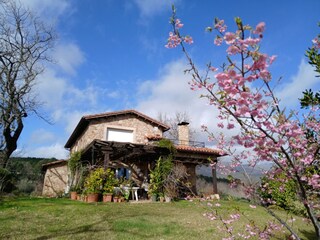 Haus und Garten