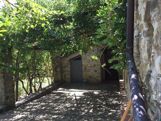 Eingang im grünen Außenbereich