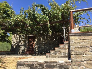 Terrasse unter der Weinpergola