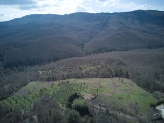 Das Anwesen, eingebettet in Grün, zwischen Olivenhainen
