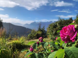 Cottage Tulfes  12