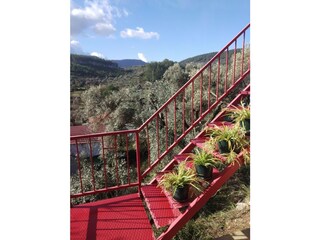 terrace suite stairs