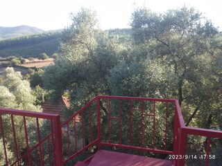 from the terrace