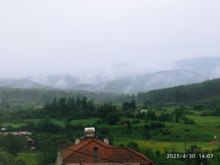 after the rain