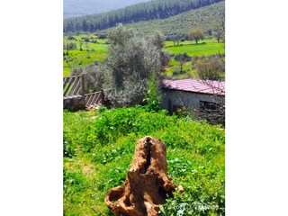 garden statue