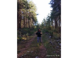 From the forest